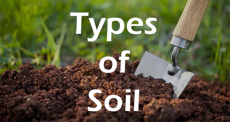 types-of-soils