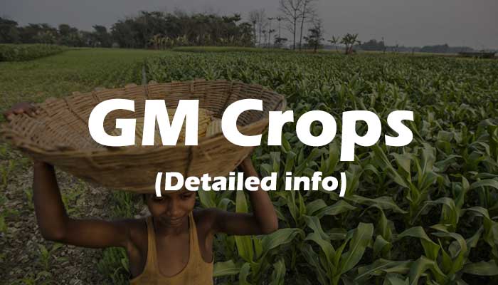 Genetically-Modified-Crops